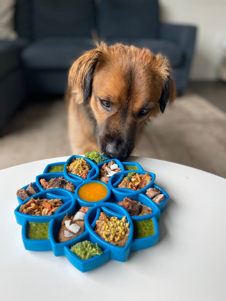 SodaPup Mandala eTray Shallow Slow Feeder Dog Bowl for Enrichment | USA Made