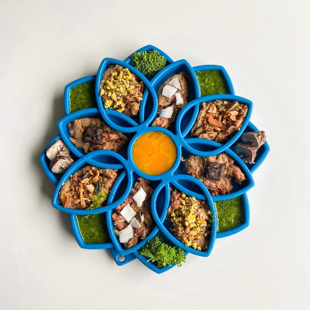 SodaPup Mandala eTray Shallow Slow Feeder Dog Bowl for Enrichment | USA Made
