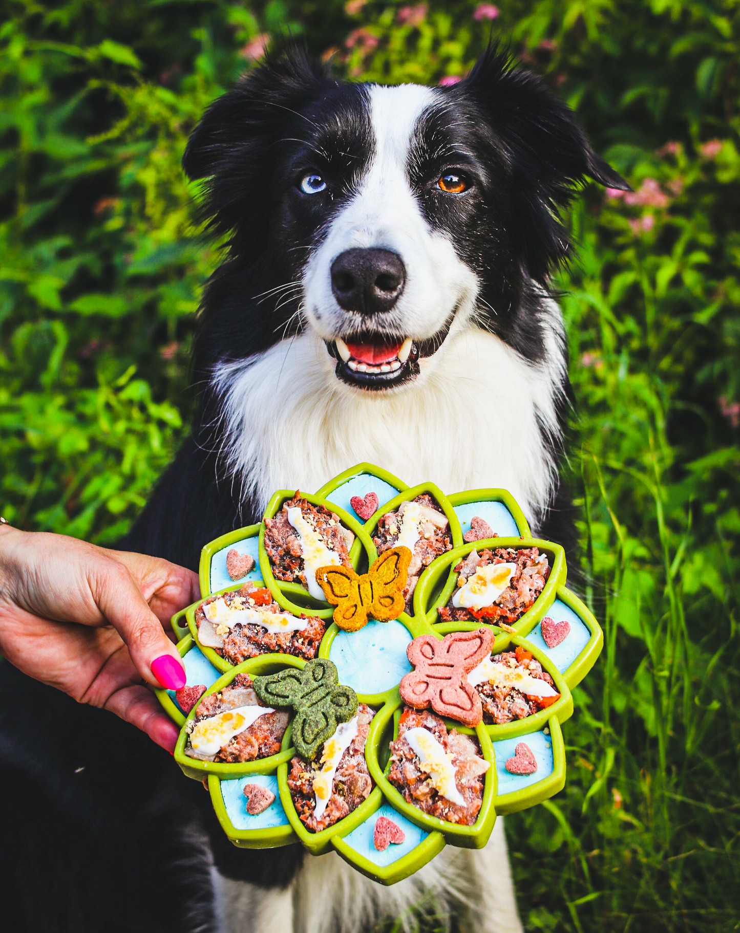 SodaPup Mandala eTray Shallow Slow Feeder Dog Bowl for Enrichment | USA Made