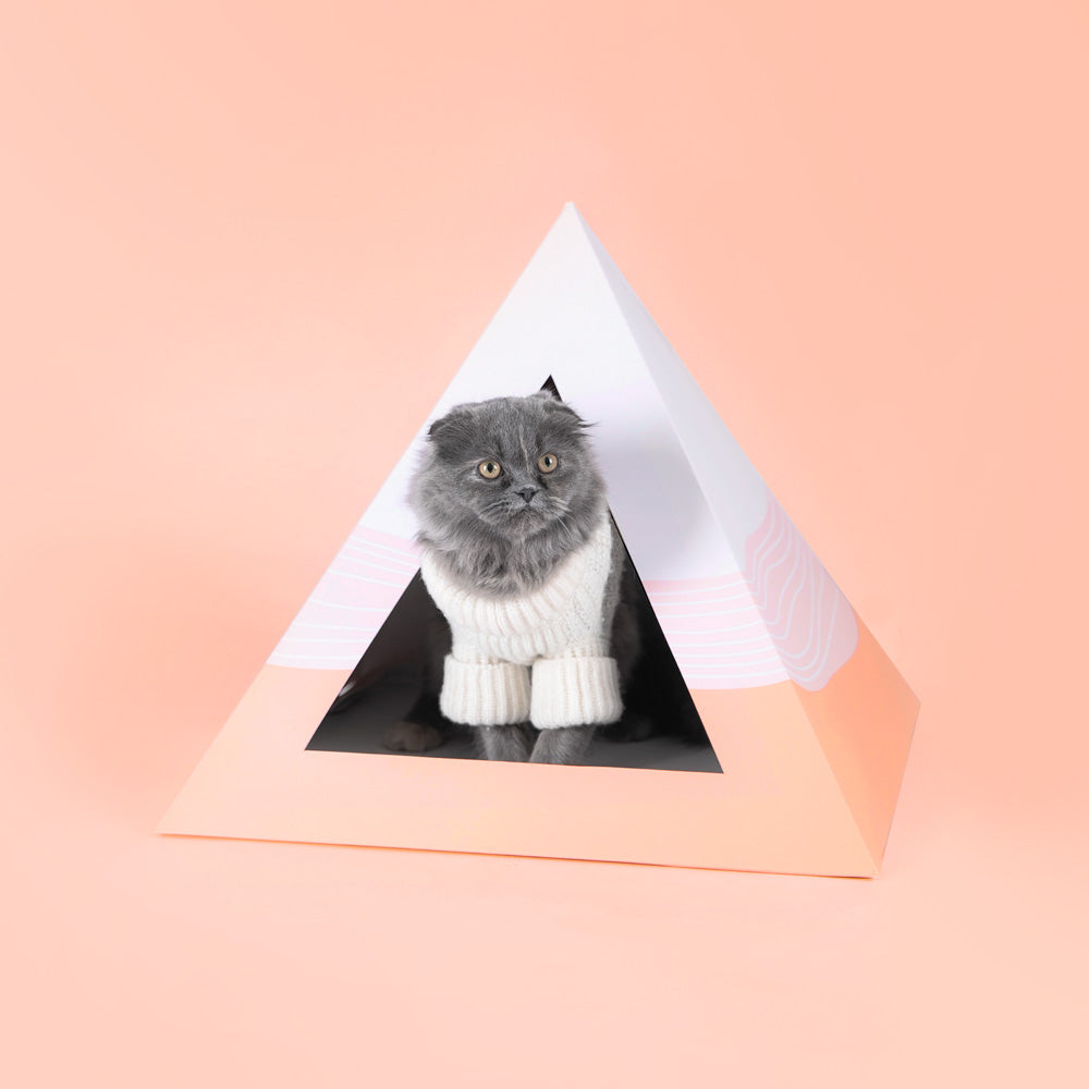 Kitty Kardboard 'Wavey' Cardboard Cat Pyramid