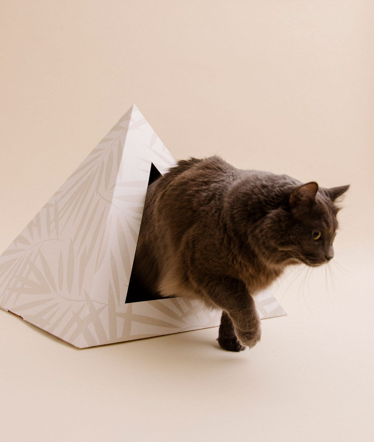 Kitty Kardboard 'Neutral Palm' Cardboard Cat Pyramid