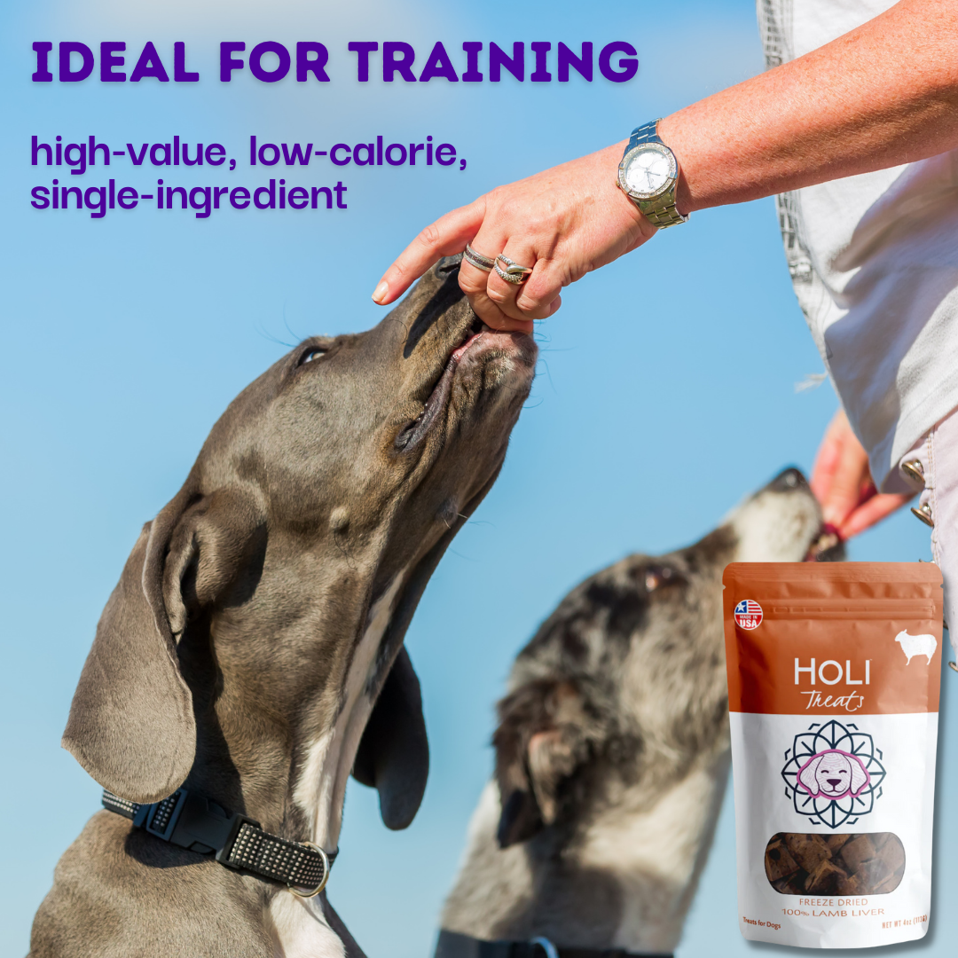 HOLI - Lamb Liver Dog and Cat Treats - Freeze Dried - Single Ingredient