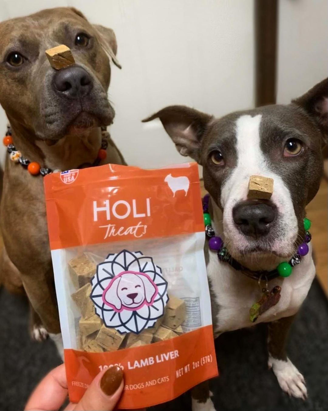 HOLI - Lamb Liver Dog and Cat Treats - Freeze Dried - Single Ingredient
