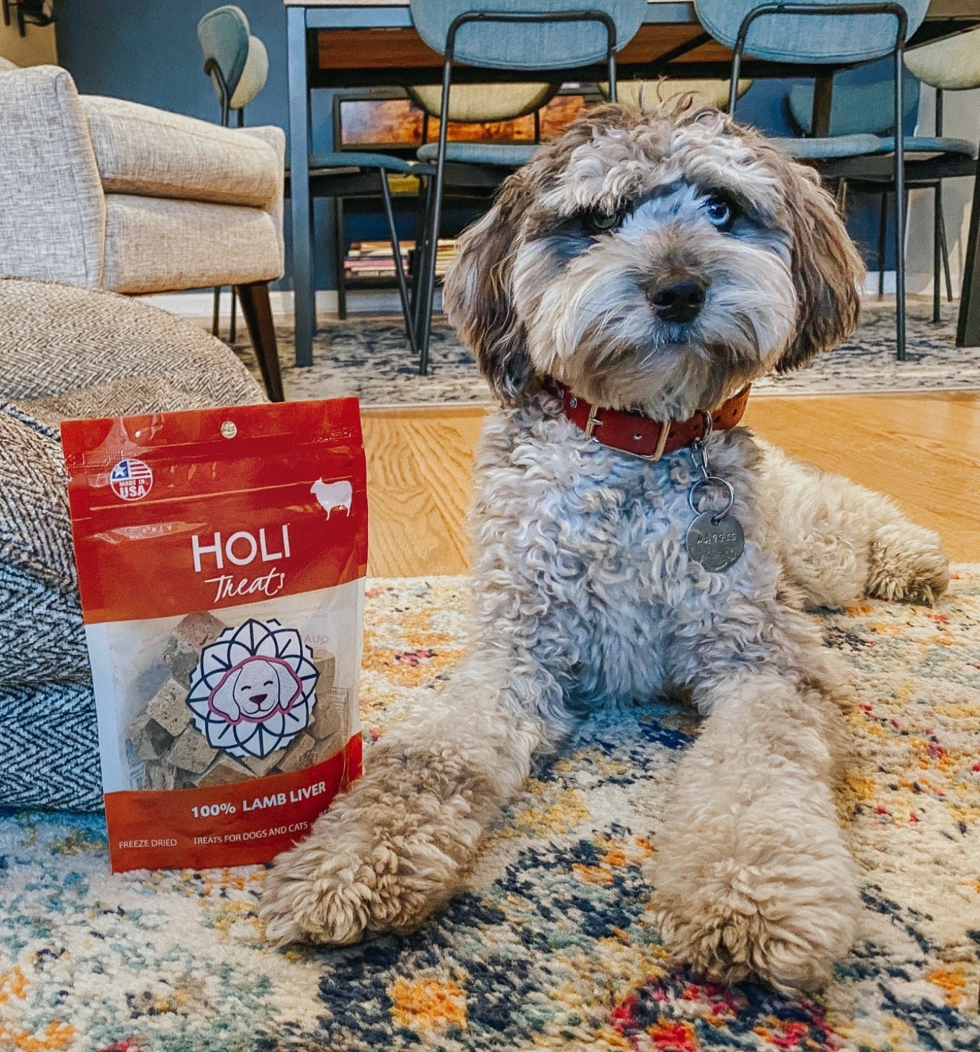 HOLI - Lamb Liver Dog and Cat Treats - Freeze Dried - Single Ingredient