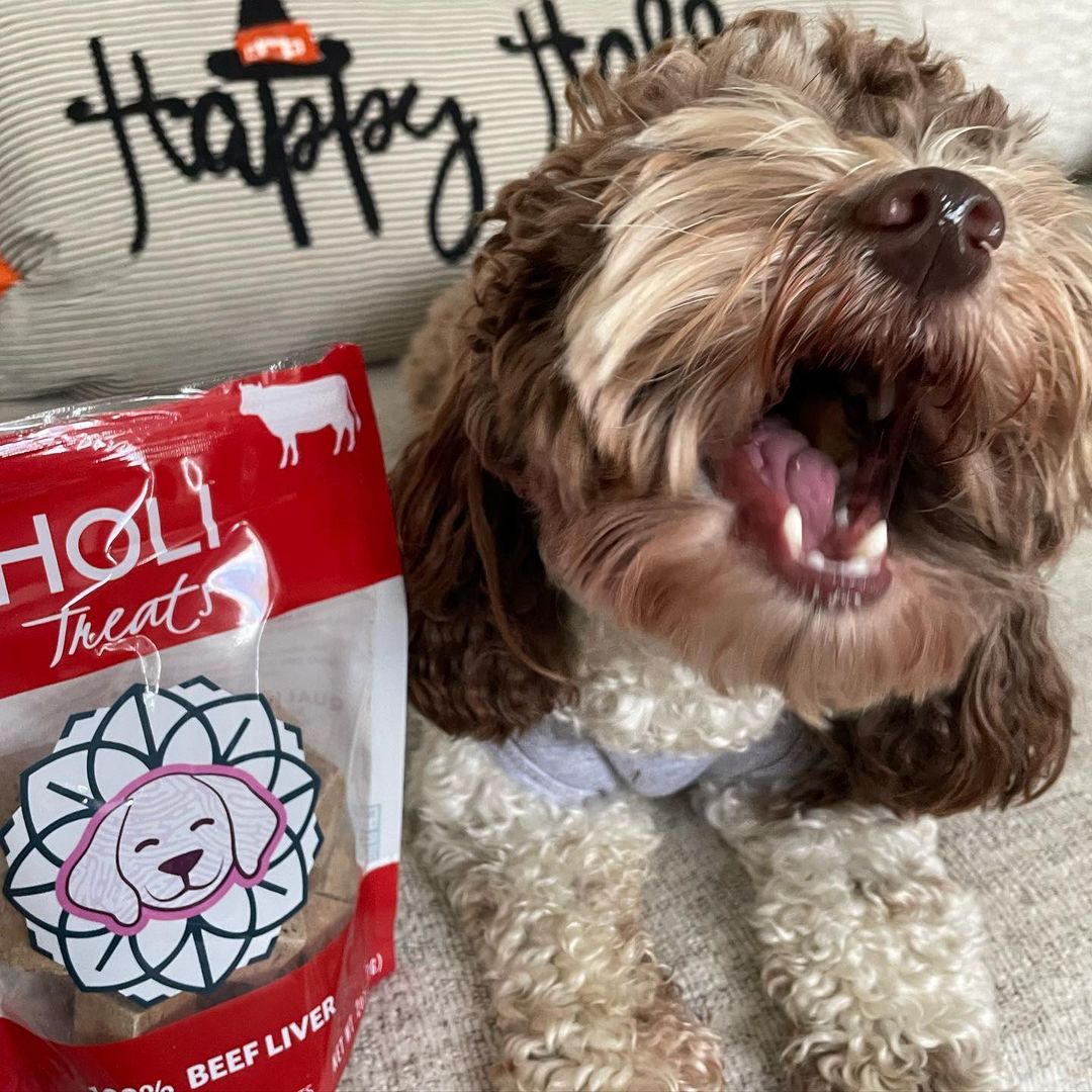 HOLI - Beef Liver Dog Treats - Freeze-Dried - Single Ingredient