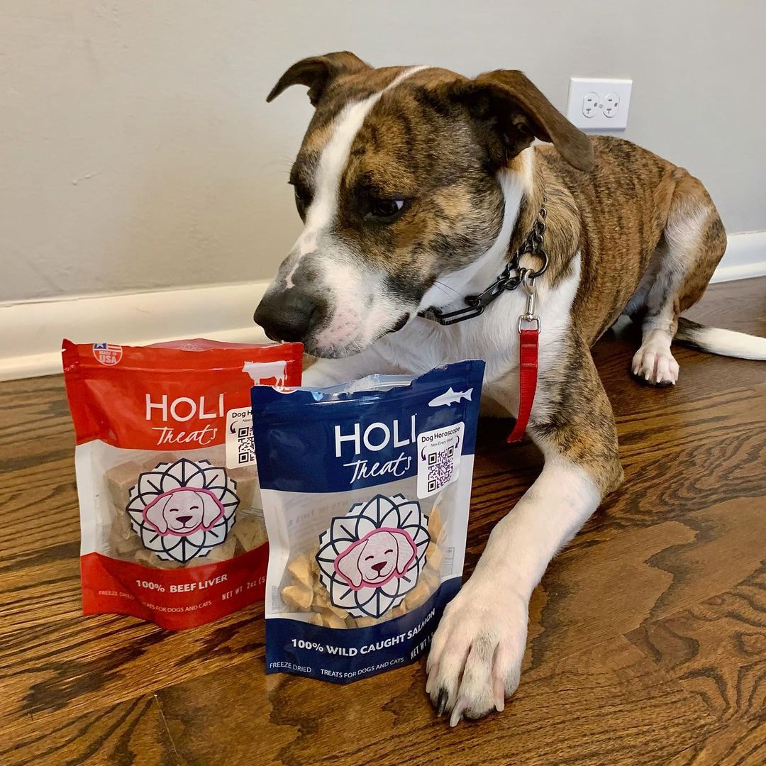 HOLI - Wild Caught Salmon Dog and Cat Treats
