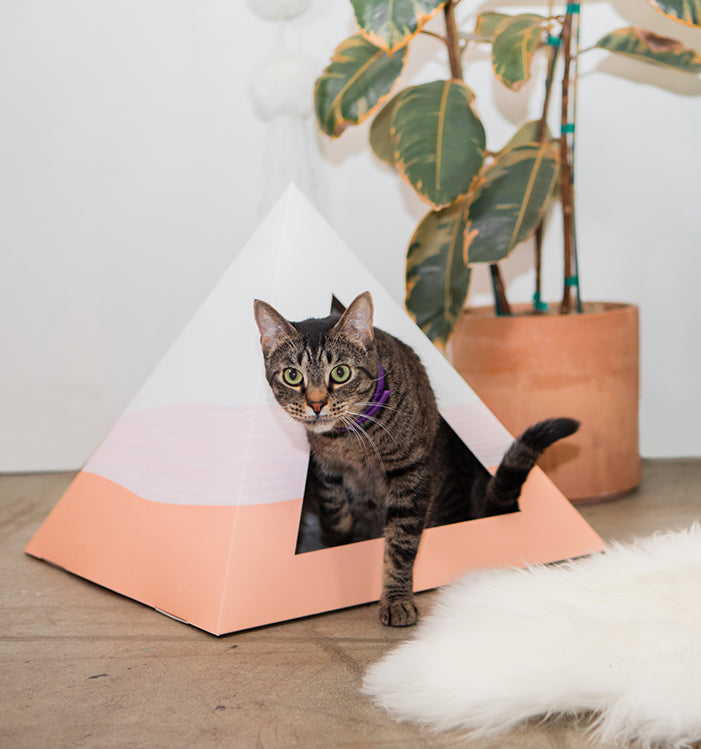 Kitty Kardboard 'Wavey' Cardboard Cat Pyramid