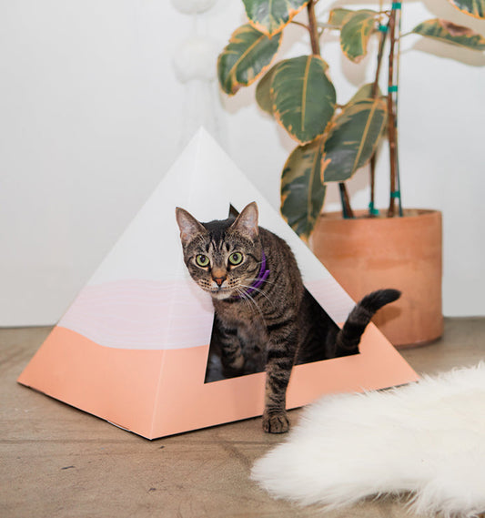 Kitty Kardboard 'Wavey' Cardboard Cat Pyramid