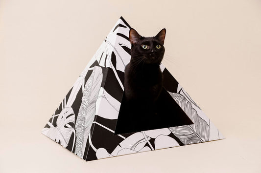 Kitty Kardboard 'Dark Paradise' Cardboard Cat Pyramid