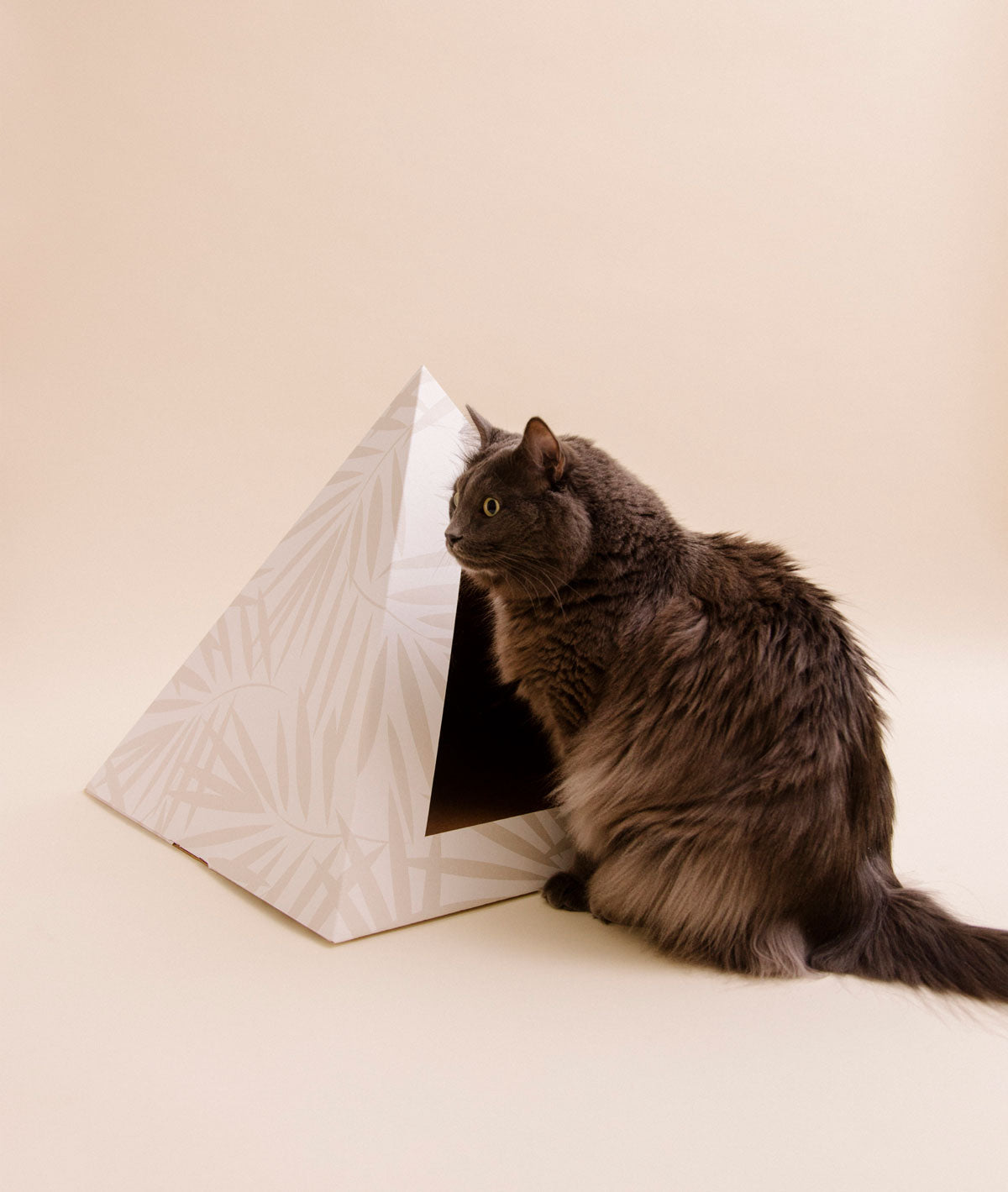 Kitty Kardboard 'Neutral Palm' Cardboard Cat Pyramid