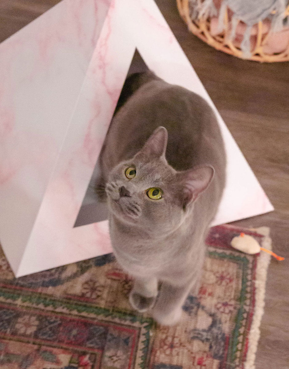 Kitty Kardboard 'Rose Quartz' Cardboard Cat Pyramid