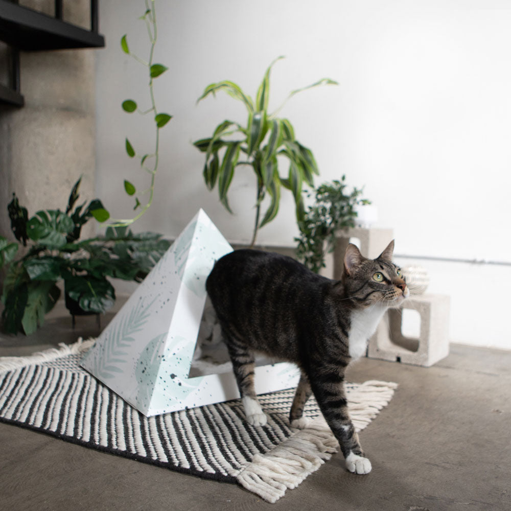 Kitty Kardboard 'Oasis' Cardboard Cat Pyramid