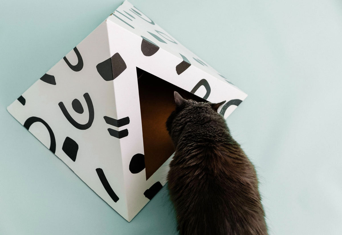 Kitty Kardboard 'Doodle' Cardboard Cat Pyramid