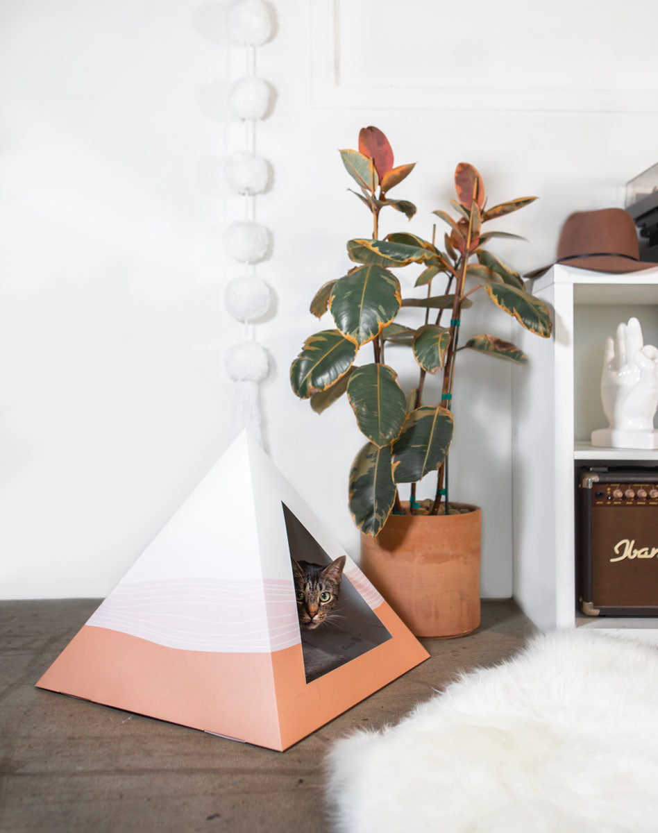 Kitty Kardboard 'Wavey' Cardboard Cat Pyramid