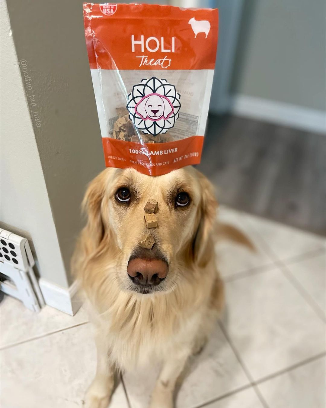 HOLI - Lamb Liver Dog and Cat Treats - Freeze Dried - Single Ingredient