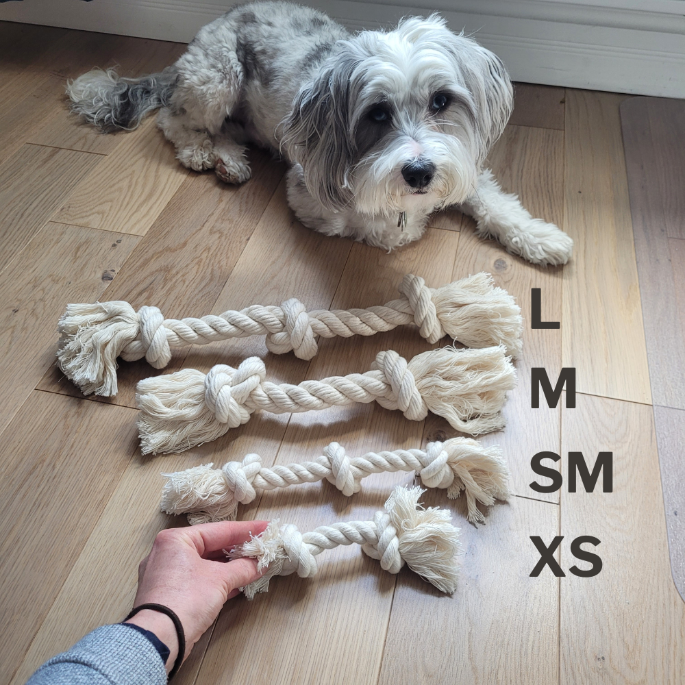Boba & Vespa - 100% Organic Cotton Rope Dog Toy - 5 Sizes | Boba & Vespa