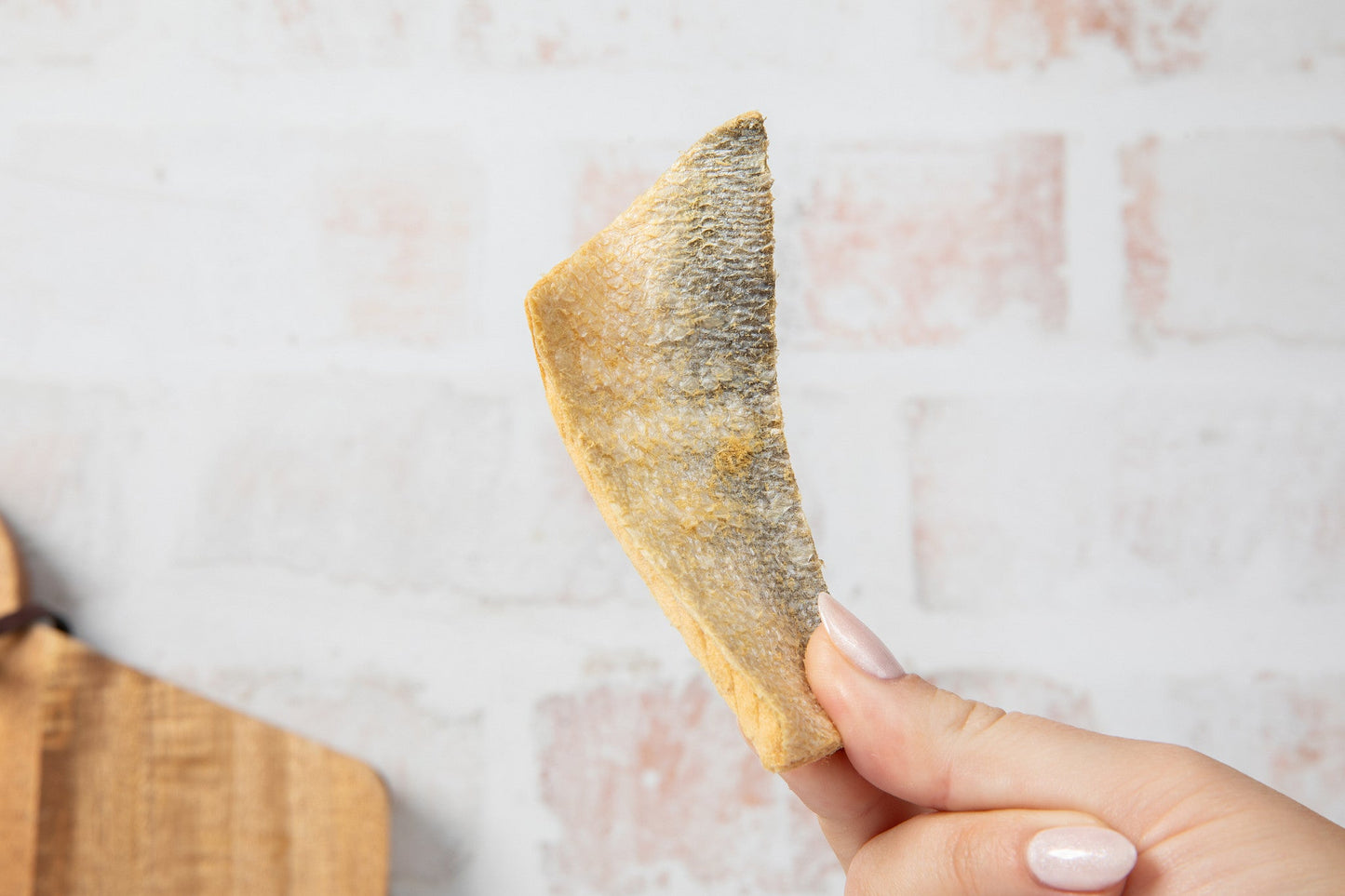 HOLI - Salmon Skin Dental Chews for Dogs and Cats