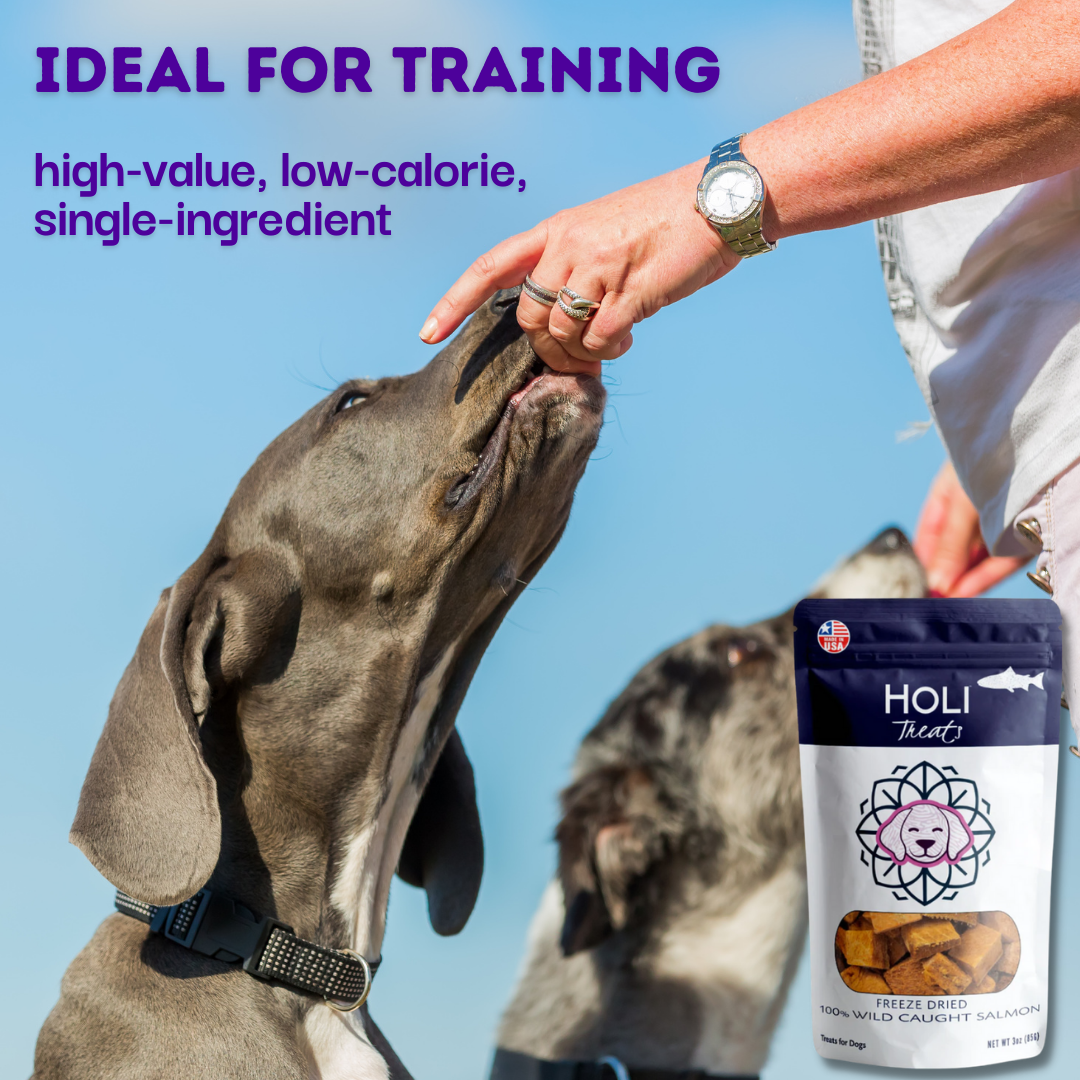 HOLI - Wild Caught Salmon Dog and Cat Treats