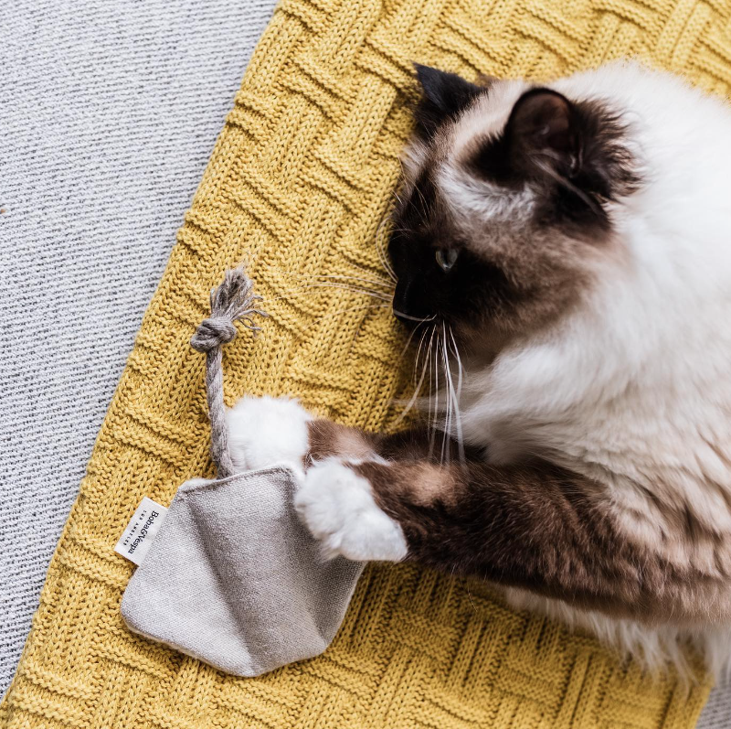 Boba & Vespa - Stingray Cat Toy in Cotton with Buckwheat for Crinkles and Organic Catnip | Boba & Vespa