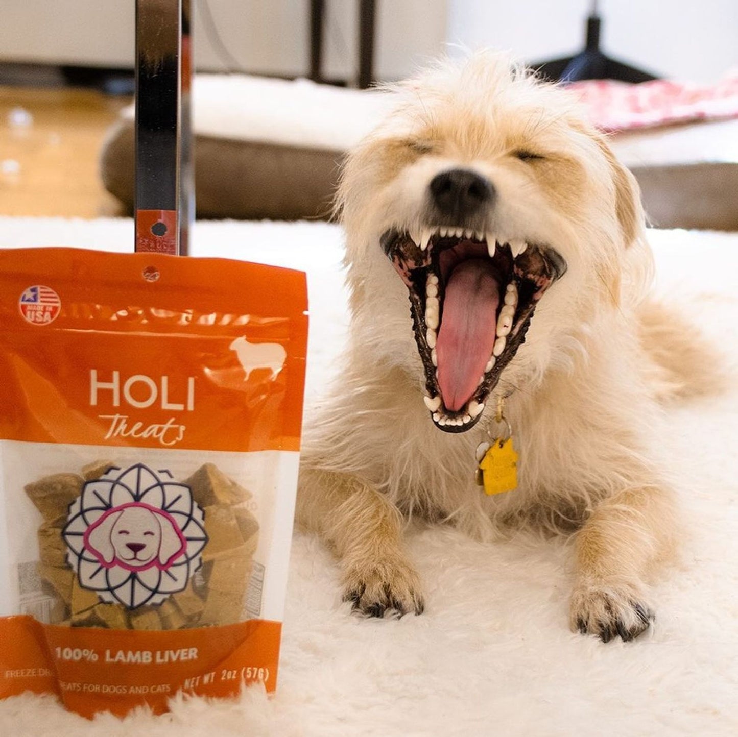 HOLI - Lamb Liver Dog and Cat Treats - Freeze Dried - Single Ingredient